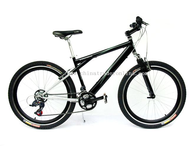 GT mountain bike